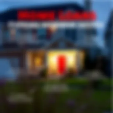 An infographic illustrating different types of home loans available at Ally