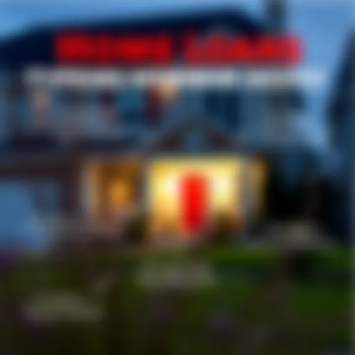 An infographic illustrating different types of home loans available at Ally