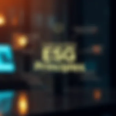 Understanding ESG Principles Conceptual representation of ESG principles