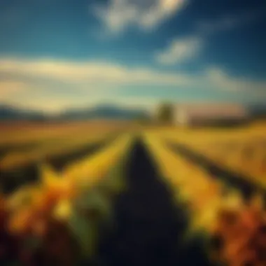 A thriving farm showcasing the results of effective investment