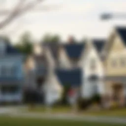 A serene neighborhood showcasing various home styles
