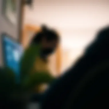 Identity Theft Protection Services Overview Visual representation of identity theft protection services