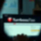 Navigating the TurboTax Interface Navigating TurboTax interface