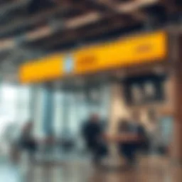 Illustration of UBA loan codes structure and categories